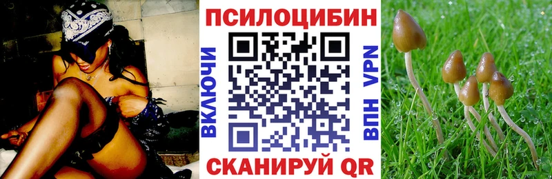 KRAKEN   Нахабино  Псилоцибиновые грибы Magic Shrooms  как найти  