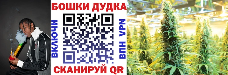 Конопля конопля  MEGA рабочий сайт  Нахабино  где можно купить наркотик 